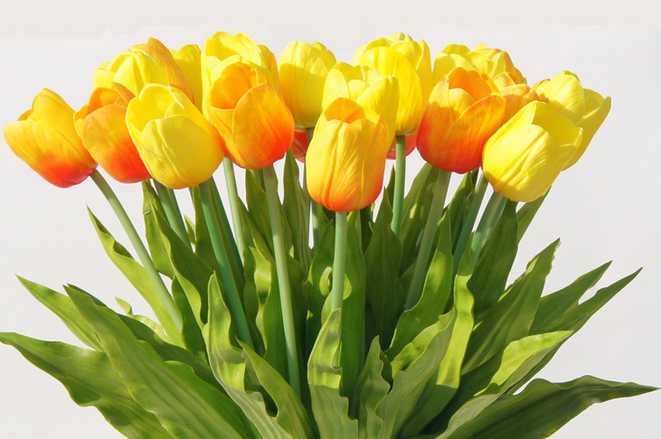 Cách làm lá hoa tulip bằng vải voan sẽ cho thành phẩm đẹp như thật