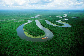 Tổng quan về con sông Amazon lớn nhất thế giới