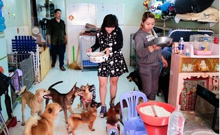 Cô gái 9X Sài Gòn làm xe lăn cho chó tàn tật, mồ côi